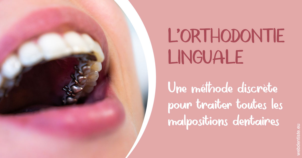 https://selarl-patrick-moheng-et-nicolas-moheng.chirurgiens-dentistes.fr/L'orthodontie linguale 2