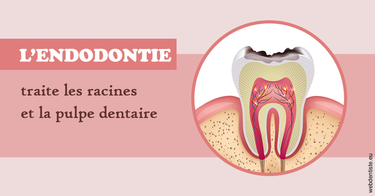 https://selarl-patrick-moheng-et-nicolas-moheng.chirurgiens-dentistes.fr/L'endodontie 2