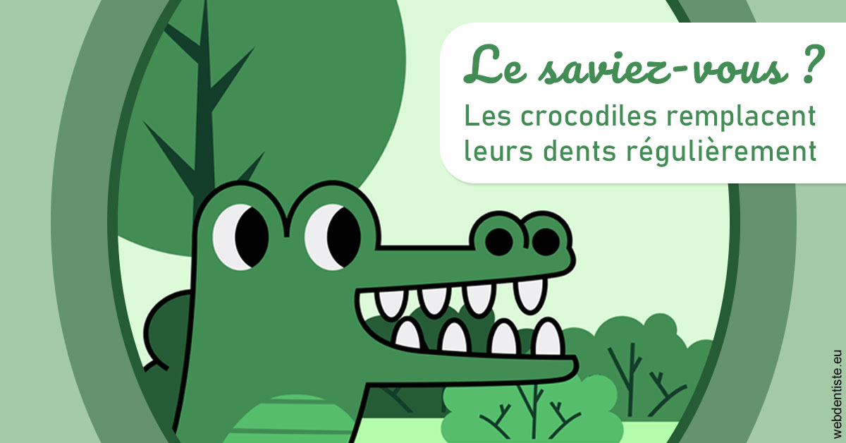 https://selarl-patrick-moheng-et-nicolas-moheng.chirurgiens-dentistes.fr/Crocodiles 2