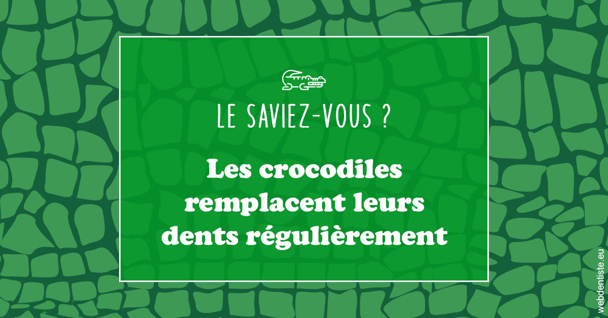 https://selarl-patrick-moheng-et-nicolas-moheng.chirurgiens-dentistes.fr/Crocodiles 1